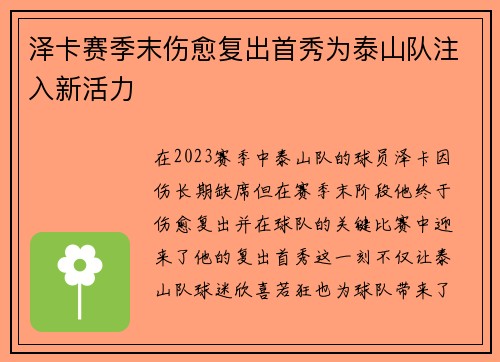 泽卡赛季末伤愈复出首秀为泰山队注入新活力